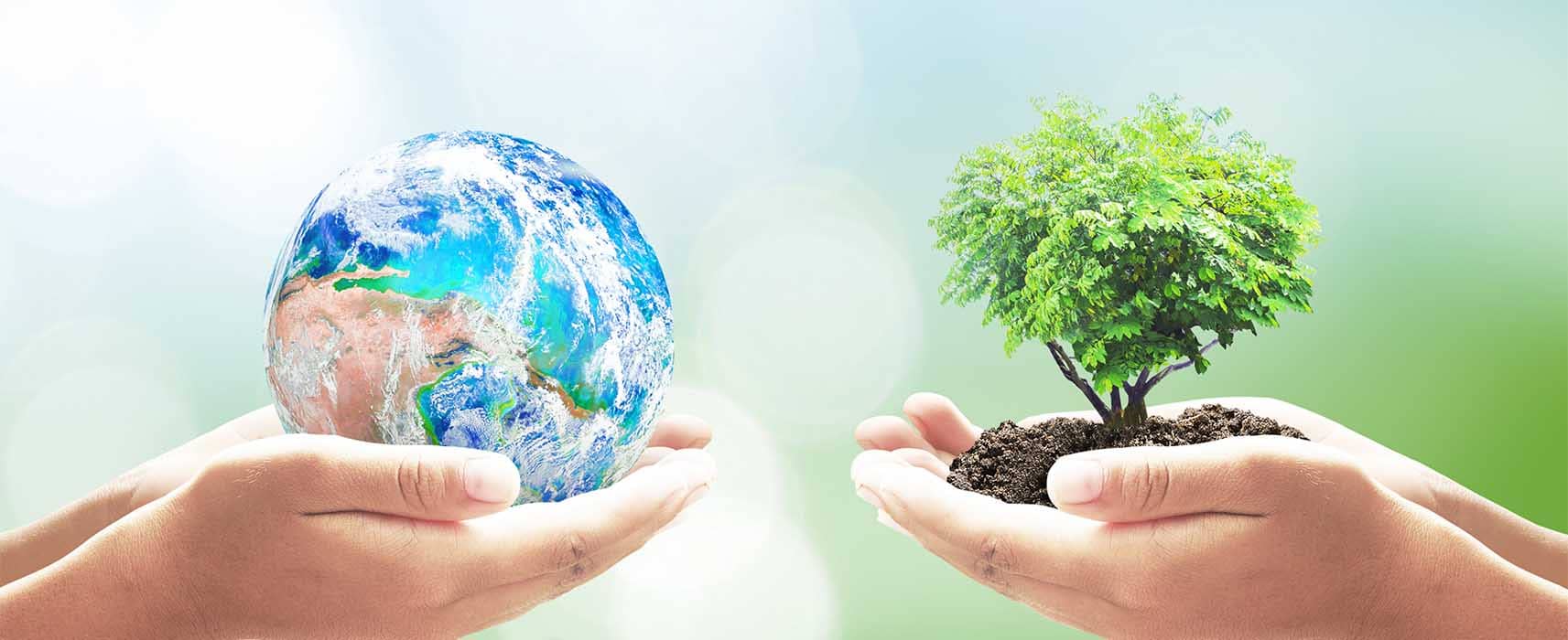 Tree Services, Tree Trimming Services and Tree Removal Services